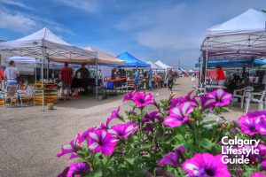Calgary Bearspaw Lions Farmers Market Calgary Lifestyle Guide