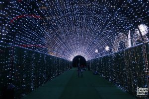 Noel Indoor Light Show