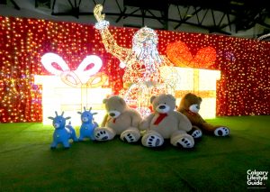 Noel Indoor Light Show