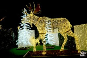 Noel Indoor Light Show