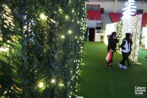 Noel Indoor Light Show