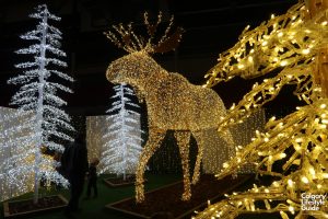 Noel Indoor Light Show