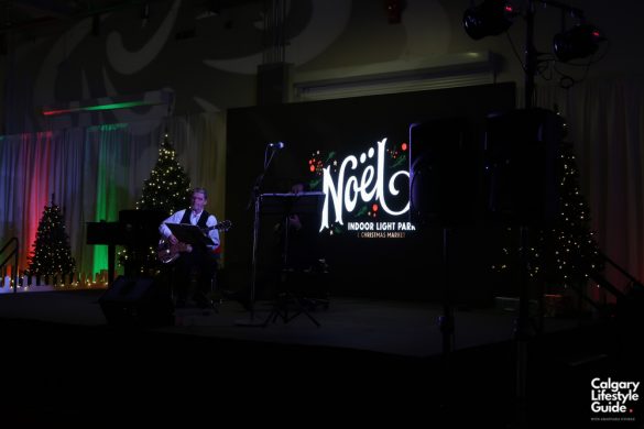 Noel Indoor Light Show