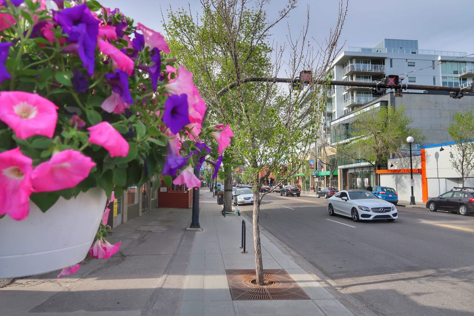 Kensington, Calgary Neighbourhood Guide: Living, Dining, Shopping, and Real Estate