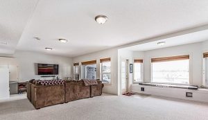 walkout basement example