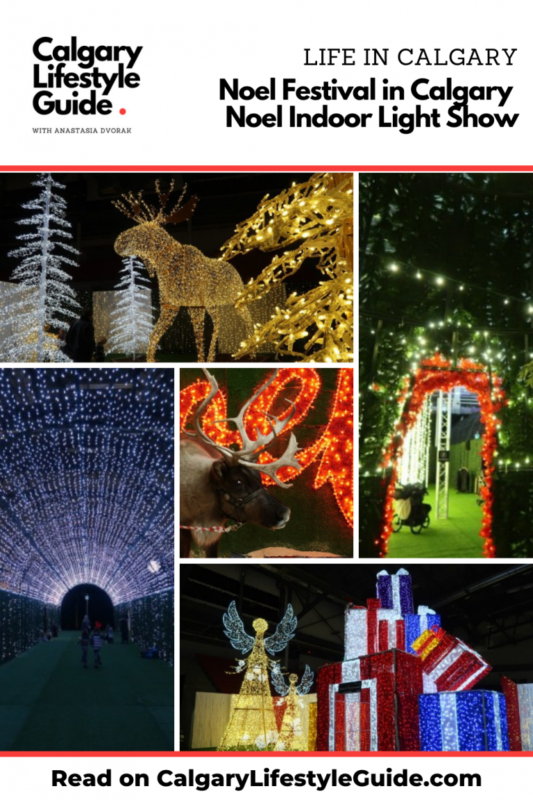 Noel Festival in Calgary Noel Indoor Light Show Calgary Lifestyle