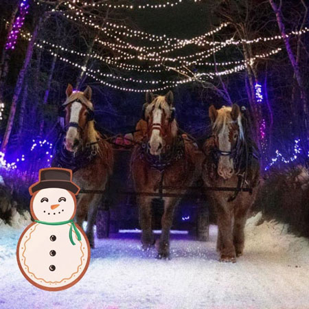 carriage ride heritage ranch