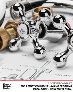 most common plumbing problems in Calgary