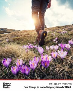 Calgary Lifestyle Guide - Fun Things to Do in Calgary in March 2023