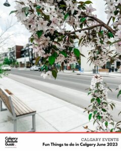 fun things to do in calgary june 2023 - calgary events June 2023 - father's day in Calgary
