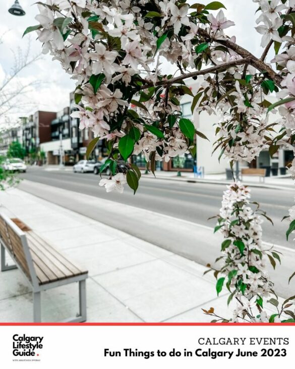 Fun Things to do in Calgary in June 2023 – Calgary Local and Fun Events ...