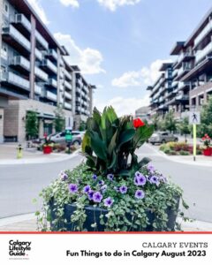 fun things to do in august 2023 in calgary -calgary events