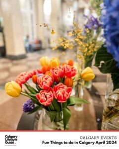 fun things to do in Calgary -April 2024 events - Calgary Events