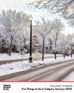 Fun Things to do in Calgary January 2025