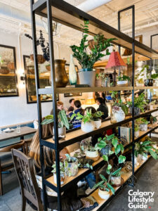 Maven in Calgary. Best brunch in calgary