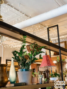 Maven in Calgary. Best brunch in calgary