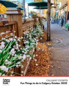 fun things to do in calgary - october events - calgary lifestyle guide