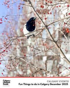 fun things to do in Calgary - events - Calgary December Events -family events - fun events in Calgary what to do in Calgary - Calgary Lifestyle Blog - Calgary L ifestyle Guide